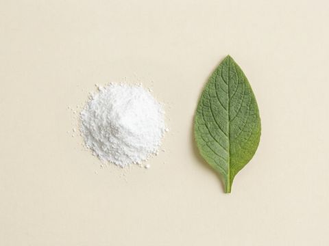 Allantoin als Makroaufnahme, weisses Pulver