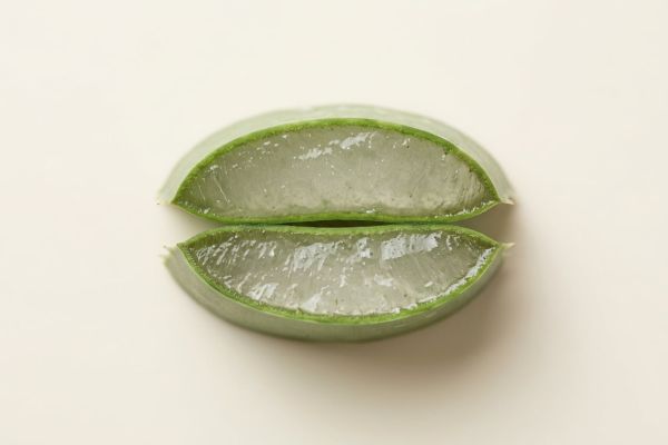 Aufgeschnittenes Aloe-vera-Blatt mit klarem Gel