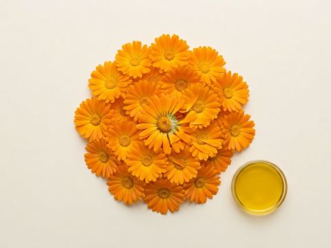 Orange Ringelblumenblüten neben goldgelbem Ölauszug